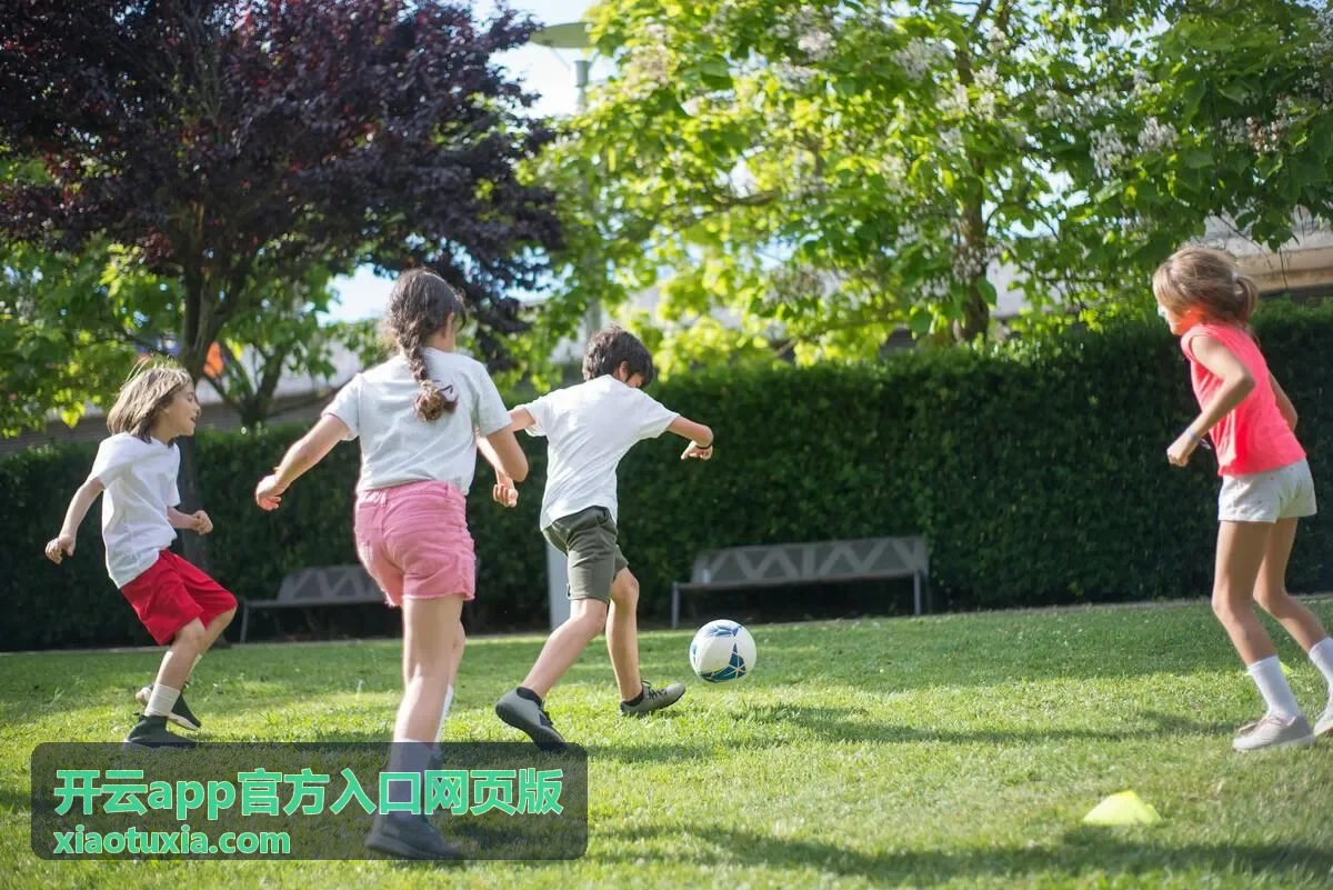 开云app官方入口网页版安装包下载界面展示